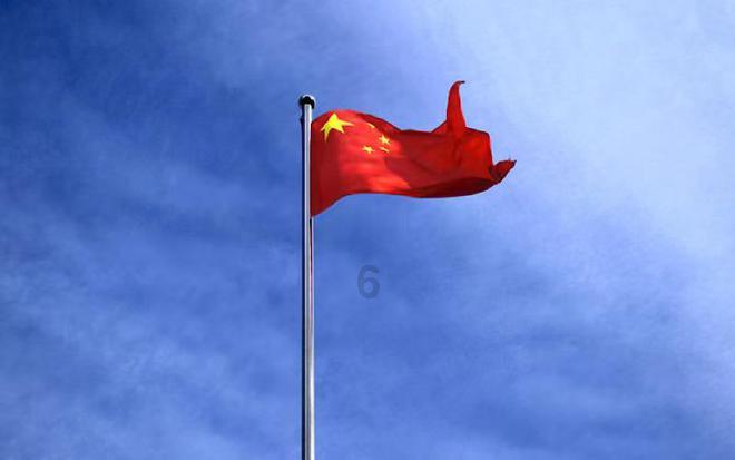 小猪仔要回家